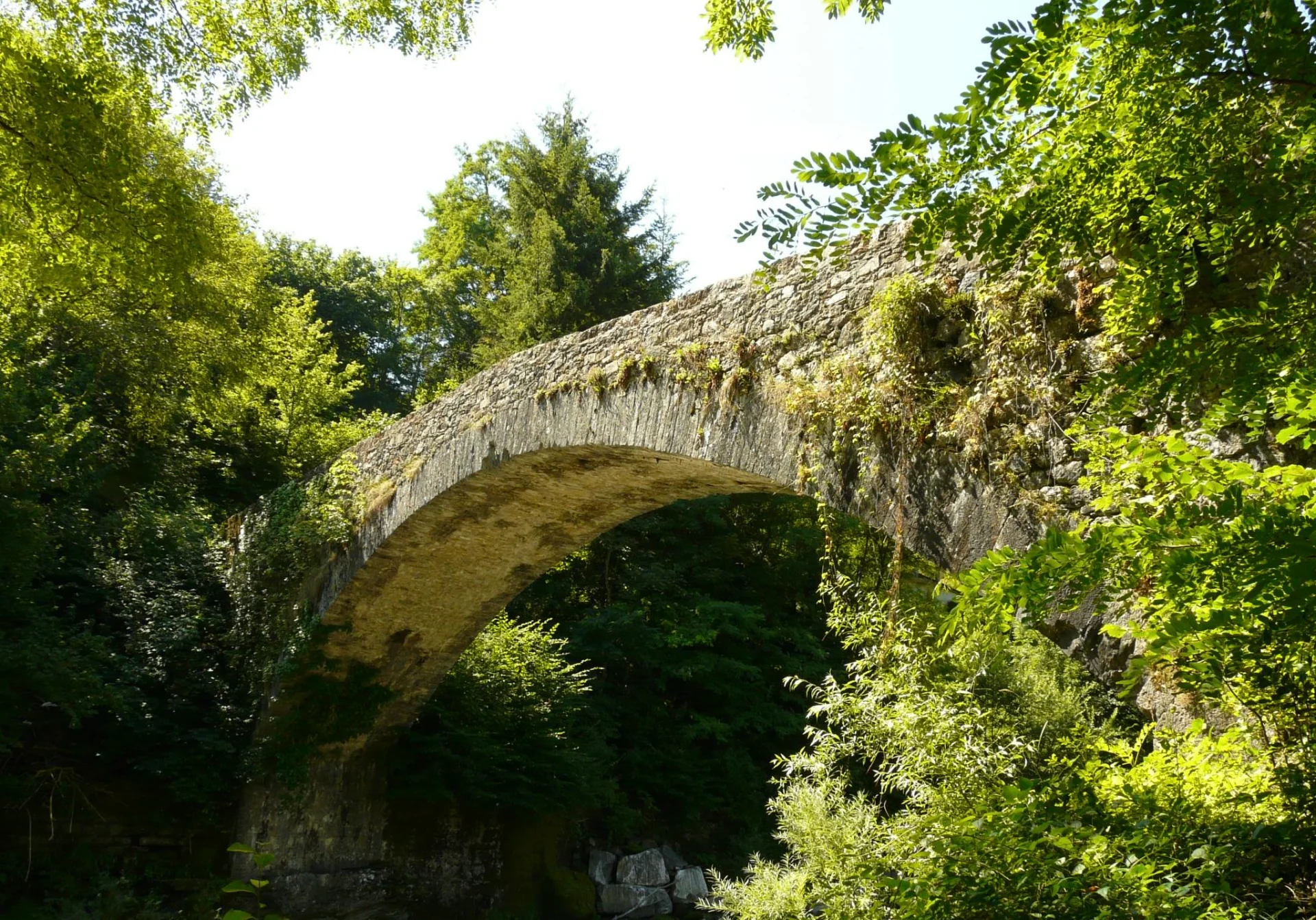 ATTRAVERSARE IL PONTE - Quando la vita ci chiede di vedere oltre ciò che conosciamo